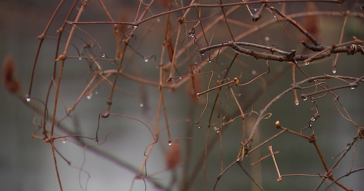 Chilly start to Saturday before sunshine arrives