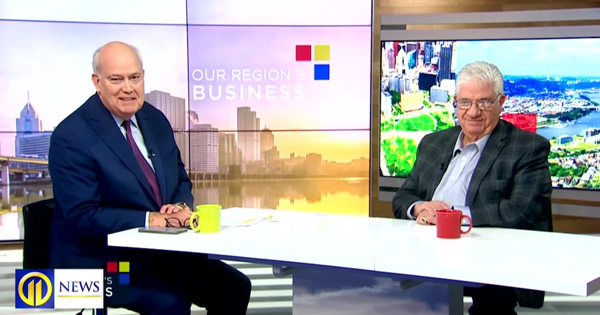 Our Region's Business - State Senator Wayne Fontana – WPXI