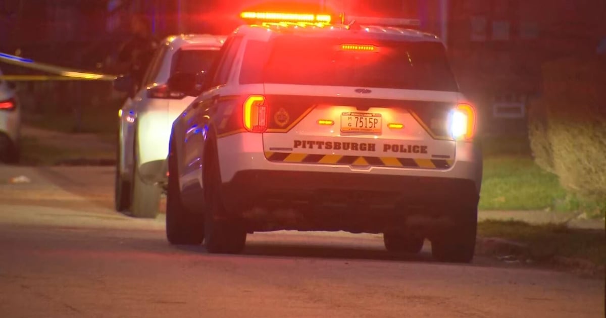 16-year-old charged with shooting 14-year-old in Pittsburgh – WPXI