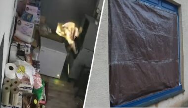 ‘This is devastating’ – NBC10 Philadelphia