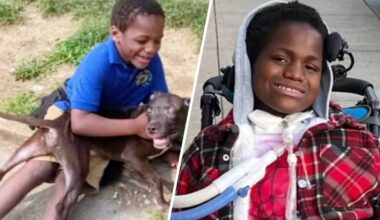 Boy paralyzed in Chester hit-and-run dies one year after crash – NBC10 Philadelphia