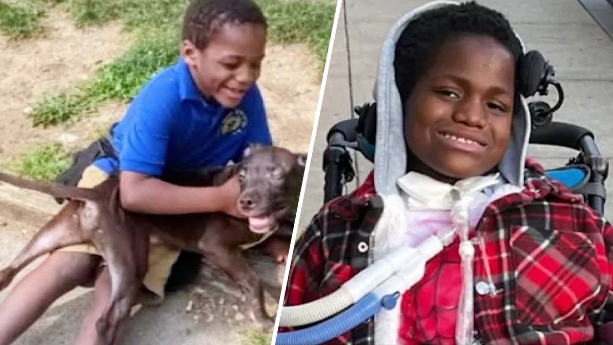 Boy paralyzed in Chester hit-and-run dies one year after crash – NBC10 Philadelphia
