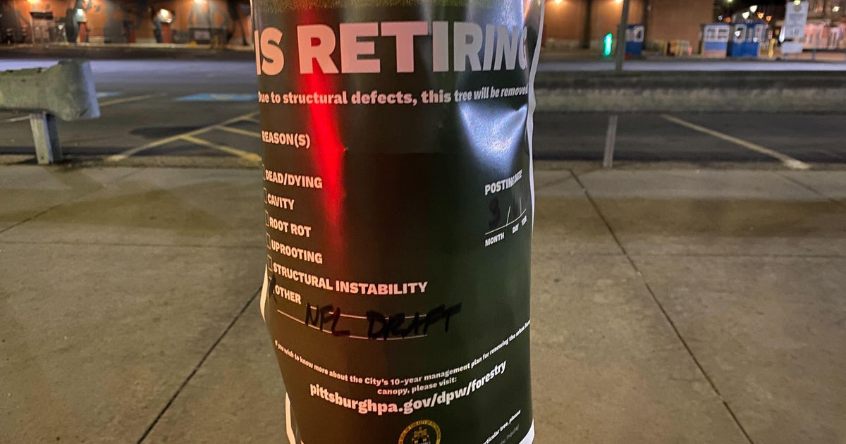 Trees being removed from Pittsburgh's North Shore to make room for NFL Draft setup