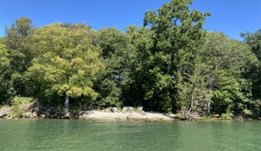 Appeals court remands major Lake Erie case to trial court