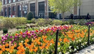 How to watch Pittsburgh Pirates vs. New York Mets, 1:15 p.m.