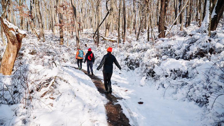 Three people hiking through snow-covered North Park forest in Pittsburgh