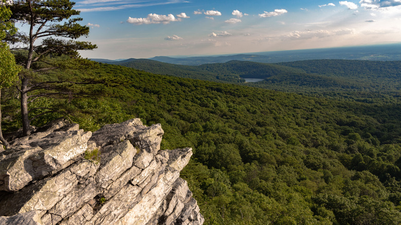 Forested hills spread out below Annapolis Rock in South Mountain State Park, Maryland