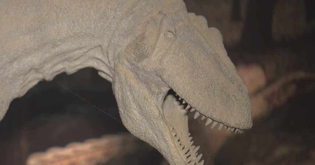 A slice of Jurassic Park in Pittsburgh, going inside The Jurassic Alcove | KD Sunday Spotlight