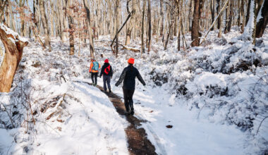 Pennsylvania's 5 Best Hiking Trails In Pittsburgh For A Scenic Outdoor Escape, According To Hikers