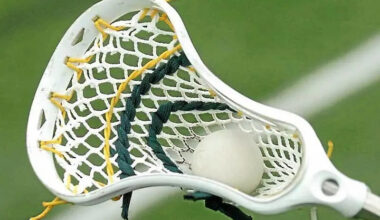 Abington Heights cruises in boys lacrosse – Scranton Times-Tribune