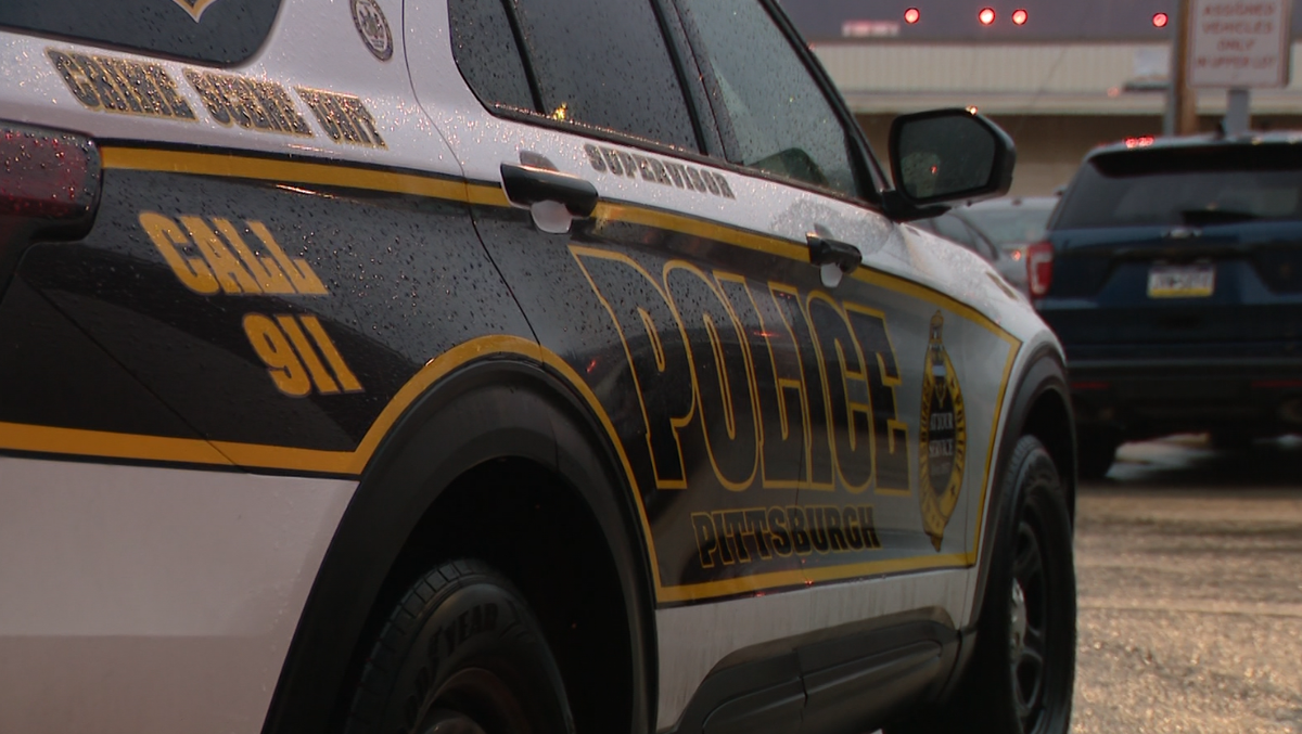 Pittsburgh police accused of unlawfully tasering & arresting man with autism