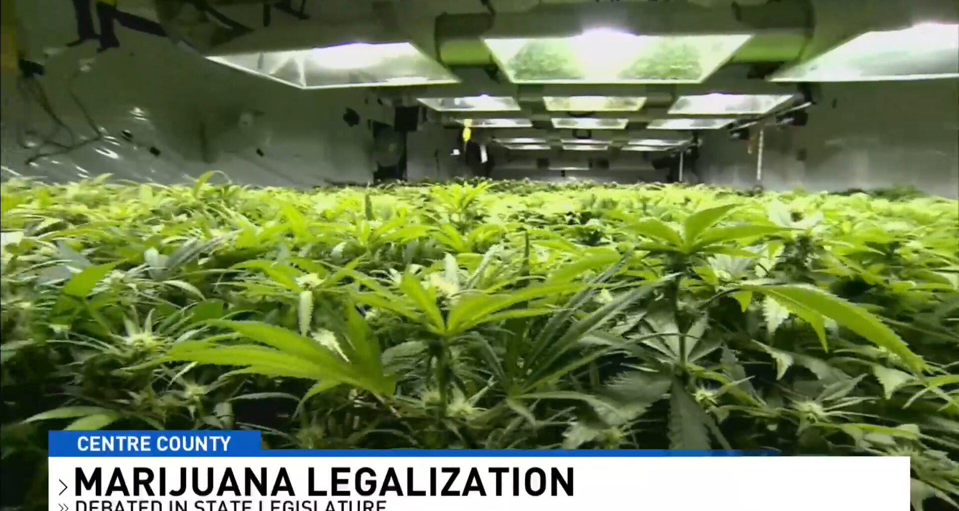 Pennsylvania Marijuana Debate - ABC23