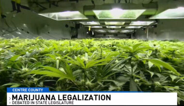 Pennsylvania Marijuana Debate - ABC23