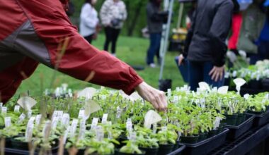 Philly plant lovers can stock up at this free Fairmount Park event in April