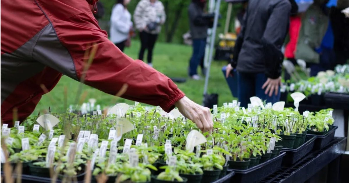 Philly plant lovers can stock up at this free Fairmount Park event in April