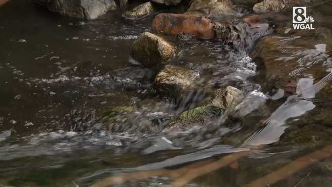 Pennsylvania officials issued a "do not eat" warning for two creeks in the commonwealth.