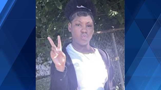 Pittsburgh police search for girl,11, last seen in Brookline