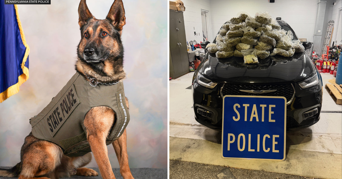 40 pounds of marijuana seized in Delaware County with help from Pennsylvania State Police K-9