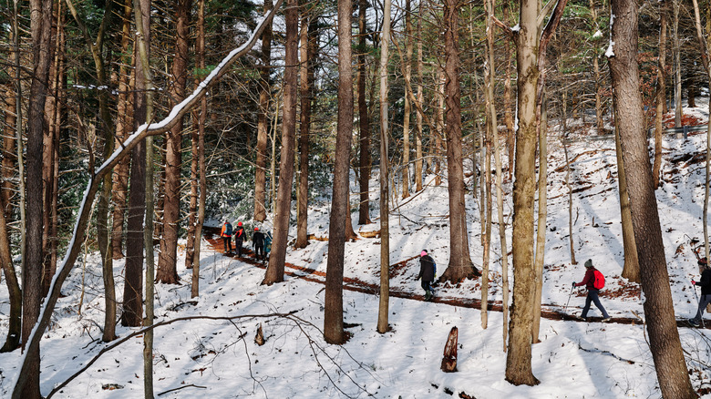 Group of hikers walking past trees and snow in North Park.