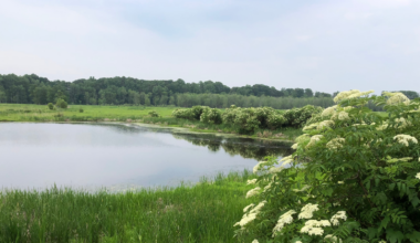 CMNH Receives Grant from Ohio Lake Erie Commission