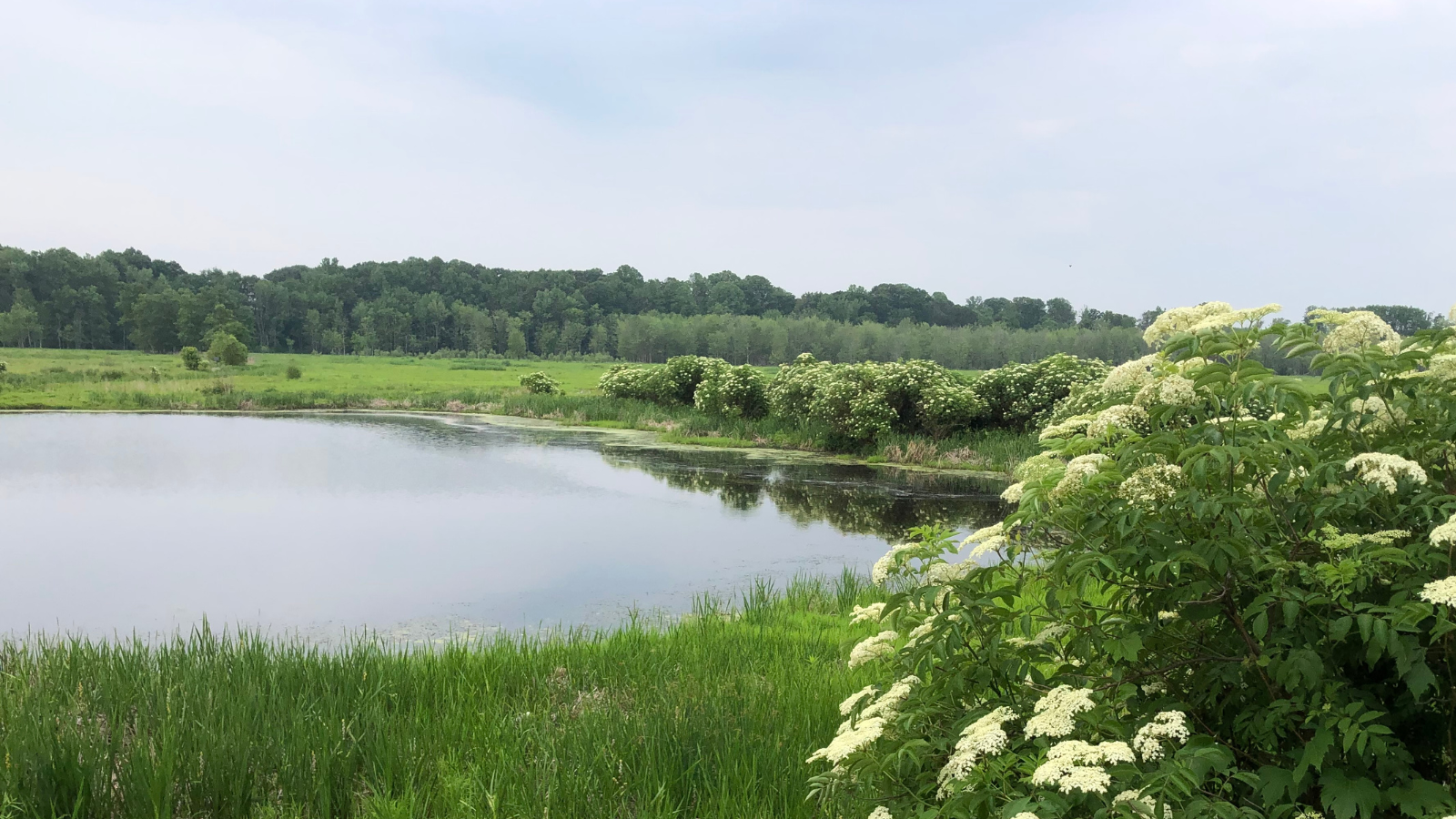 CMNH Receives Grant from Ohio Lake Erie Commission