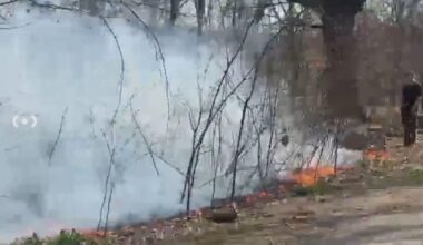 Crews battling brush fire in FDR Park in South Philadelphia