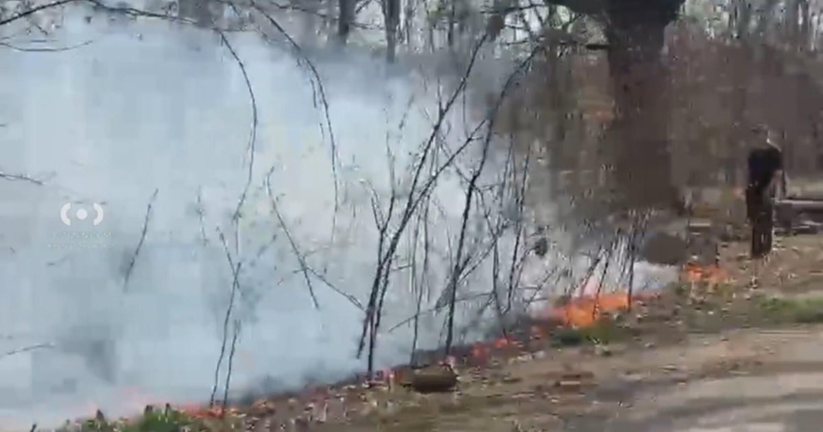 Crews battling brush fire in FDR Park in South Philadelphia