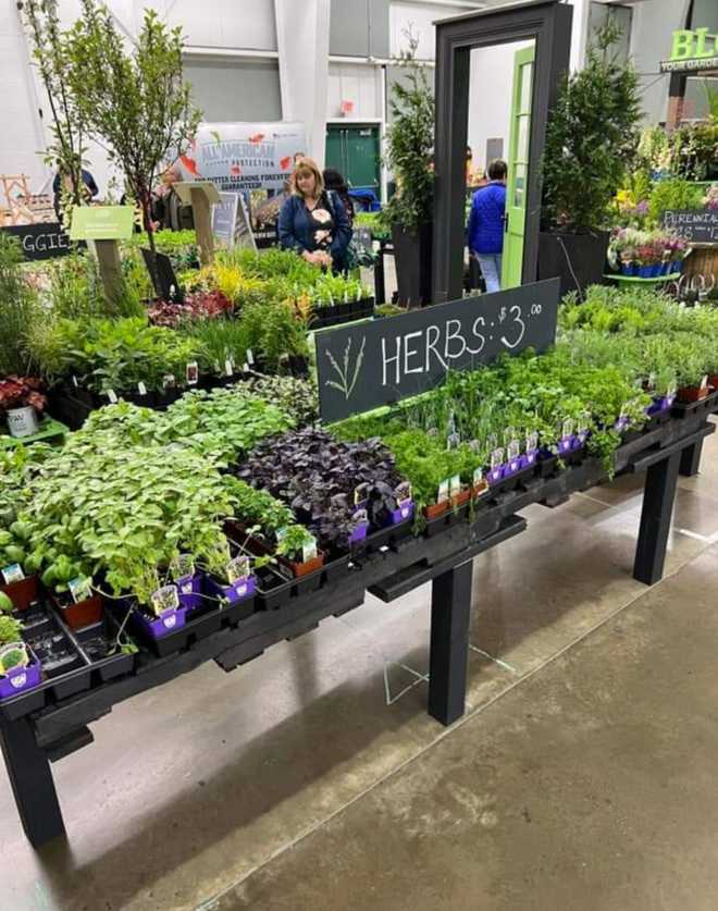 Pennsylvania Herb and Garden Festival