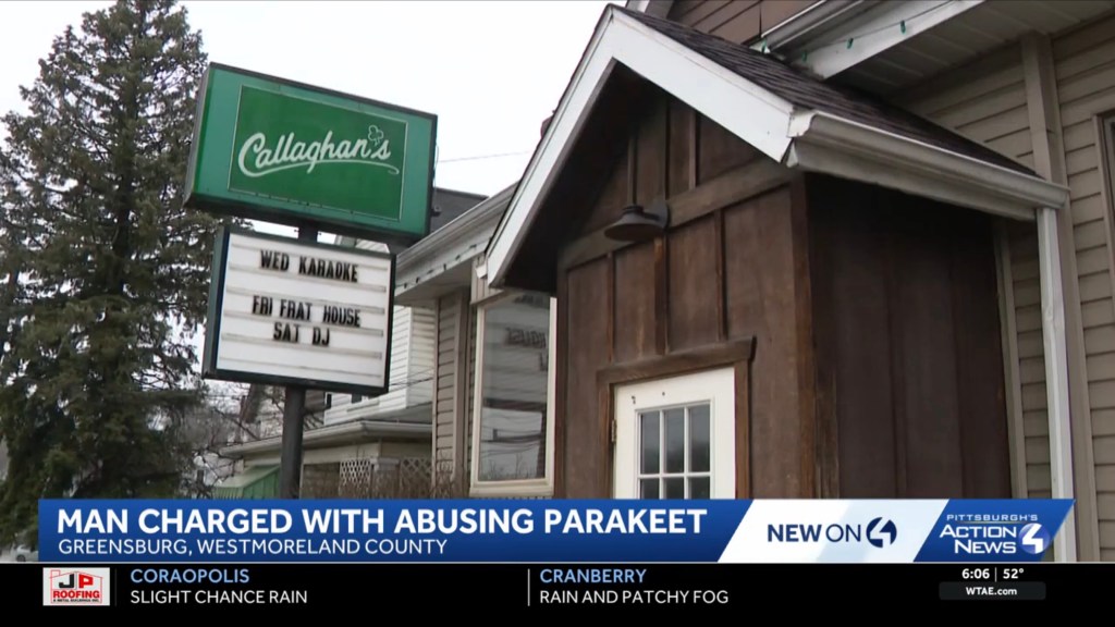 Exterior of Callaghan's bar, with a sign showing "WED KARAOKE," "FRI FRAT HOUSE," and "SAT DJ", and a news banner about a man charged with abusing a parakeet.