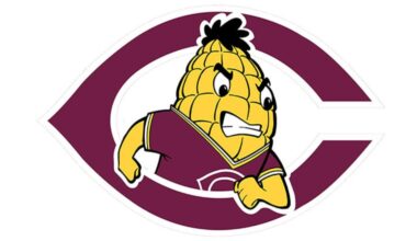 Turnovers cost Concordia WBB in Elite 8 loss to Scranton | The Flag