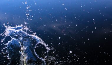 Erie Restricts Irrigation Amidst Unprecedented Sprinkler Usage, Drought, High Temperatures The Longmont Leader