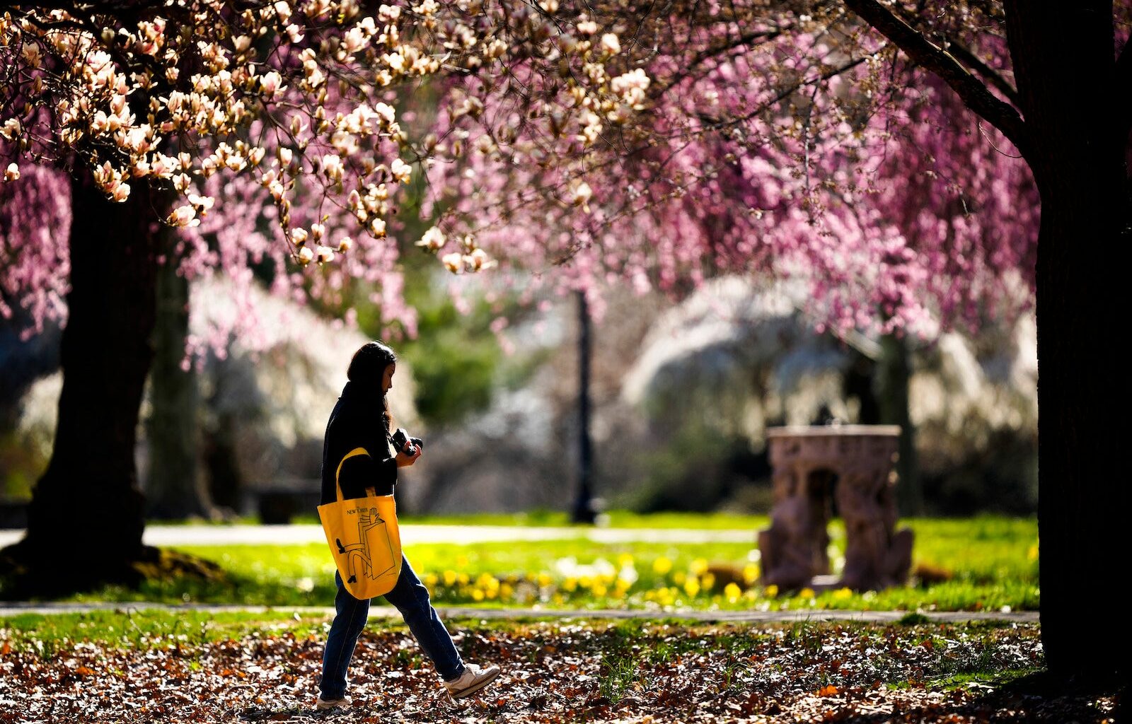 Things to do this weekend in Pa., N.J. and Del.