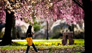 Things to do this weekend in Pa., N.J. and Del.