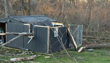 Norristown dog rescue’s kennel destroyed by storm, halting emergency animal care