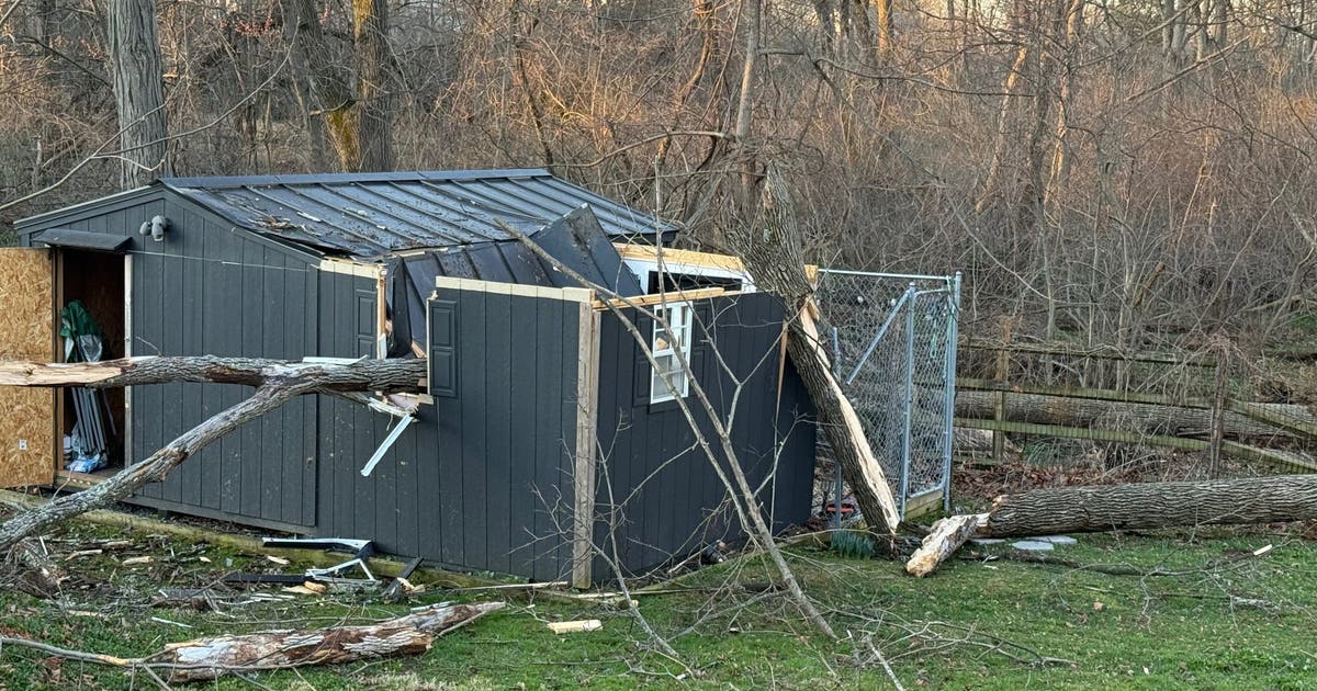 Norristown dog rescue’s kennel destroyed by storm, halting emergency animal care