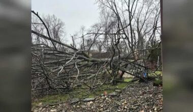 Pennsylvania urges homeowners to check insurance ahead of spring