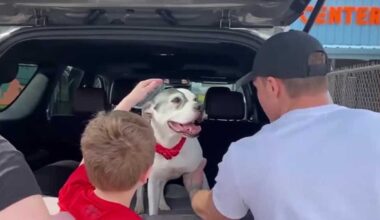 Family reunited with dog stolen in Philadelphia over 10 years ago