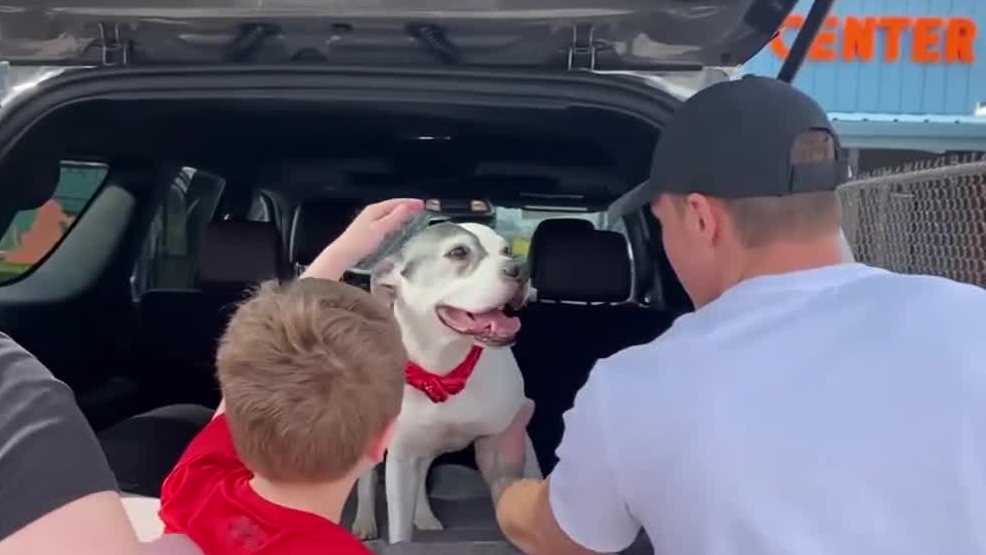 Family reunited with dog stolen in Philadelphia over 10 years ago