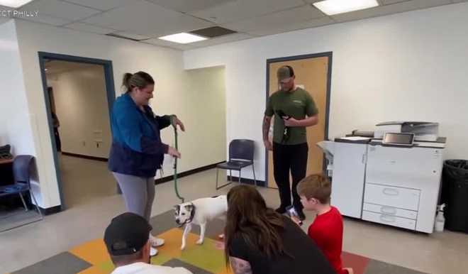 missing dog reunited with owners in pennsylvania