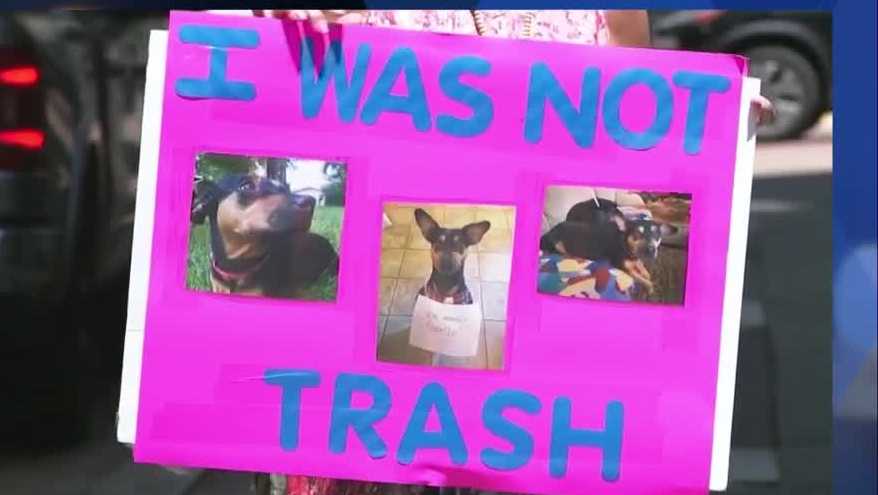 Pennsylvania lawmakers advance bill to protect pet cremation victims