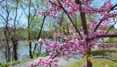 These local companies are now hiring