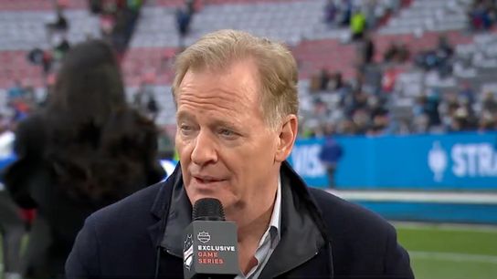 Steelers Roger Goodell Steelers Roger Goodell