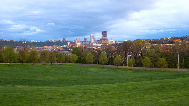 Downtown Pittsburgh high-rises seen over trees and grassy fields in Schenley Park.