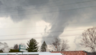 Powerful storm brings down trees, wires in Dauphin, Lebanon counties, NWS reports