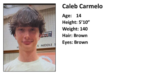 Police search for missing 14-year-old boy in Berks County