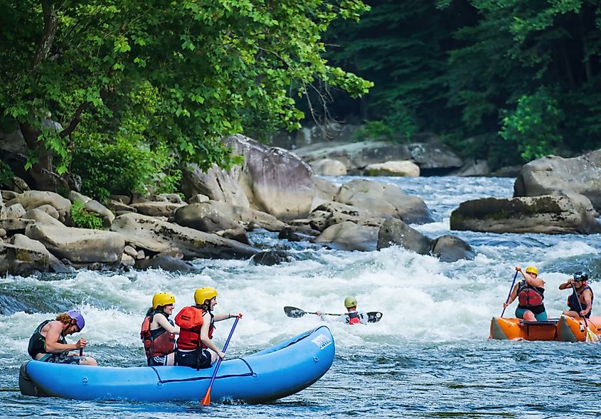 Rafters on Lower Youghiogheny River at Cucumber Rapid in Ohiopyle, Pennsylvania