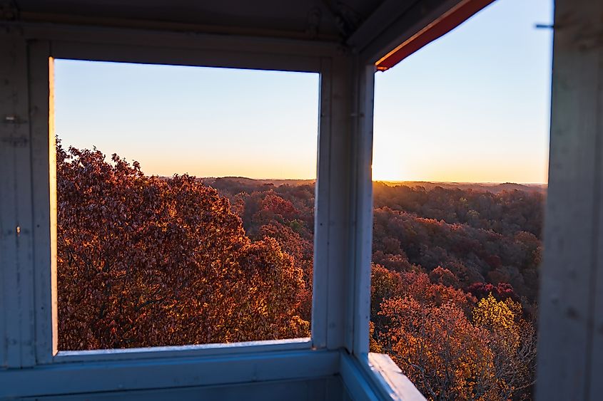 Shawnee State Forest from the Copperhead Fire Tower near West Portsmouth, Ohio.