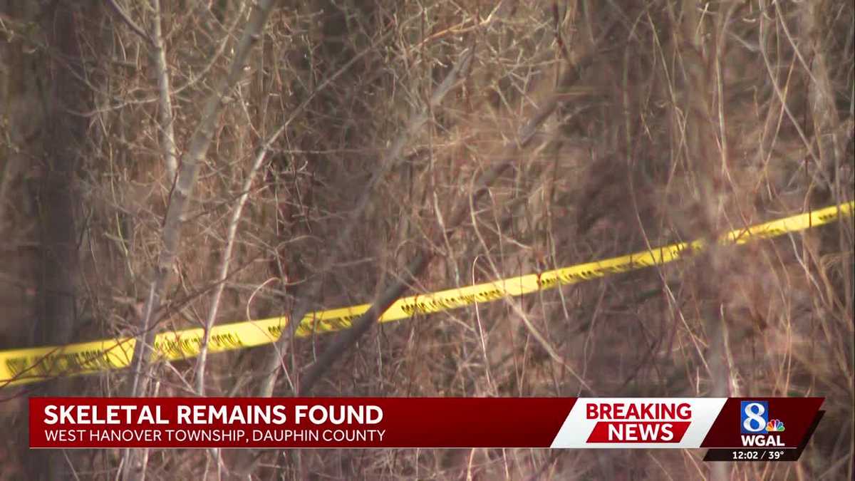 Skeletal human remains found in Dauphin County woods, Pa. troopers say