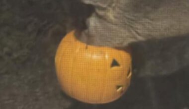 Community concerned after deer spotted with Halloween bucket stuck on its head