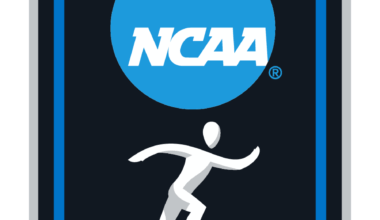 St. Joseph's (L.I.) vs Scranton DIII Men's Soccer Game Summary - November 15th, 2025